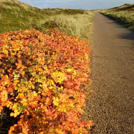 Metropol-276 * Vesterland